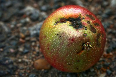 Coming of the autumn 