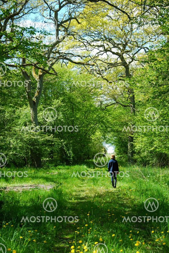 Springtime walk