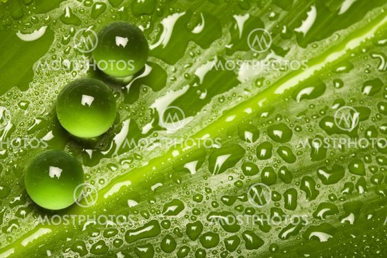 Natures pure green pearl drops