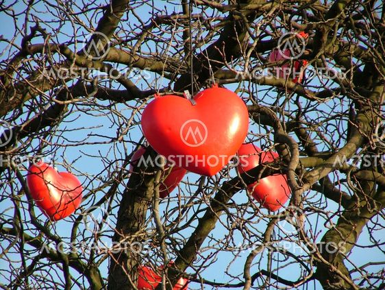 Hearts