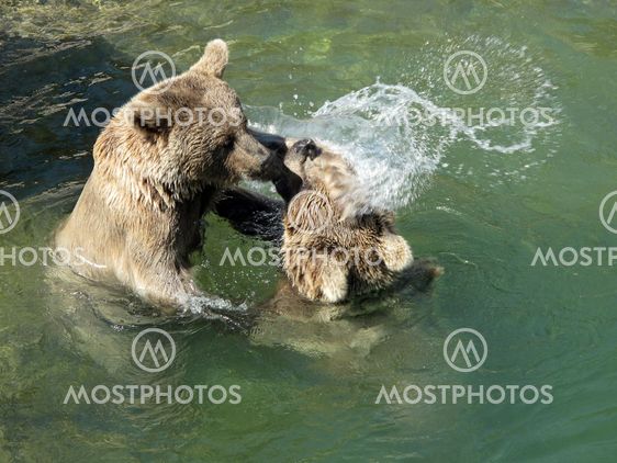 Together