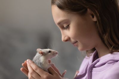 Happy teenage girl holding small domesticated rat in...