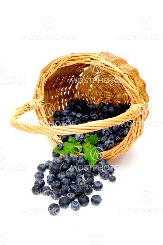 Spilled Blueberries
