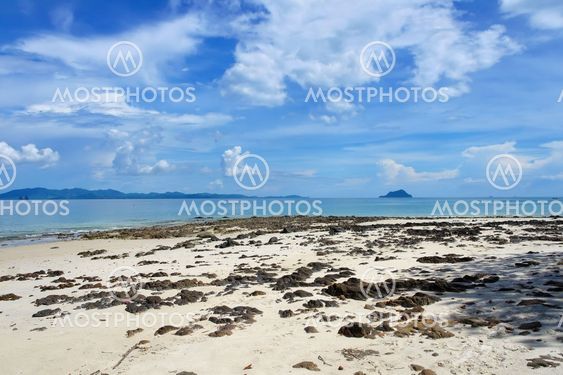 Lonely beach