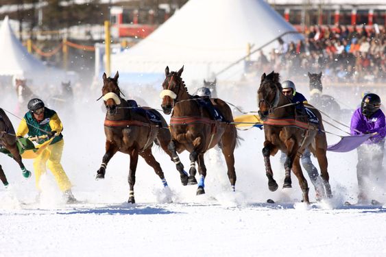 White Turf 2008 in St. Moritz