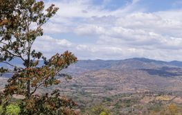 Mountains of Northern Nicaragaua