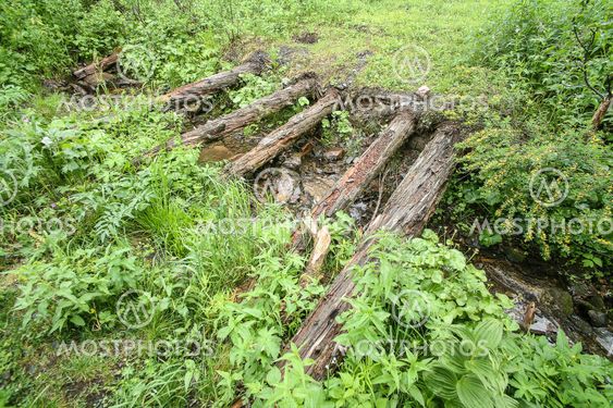 old broken timbered bridge through river