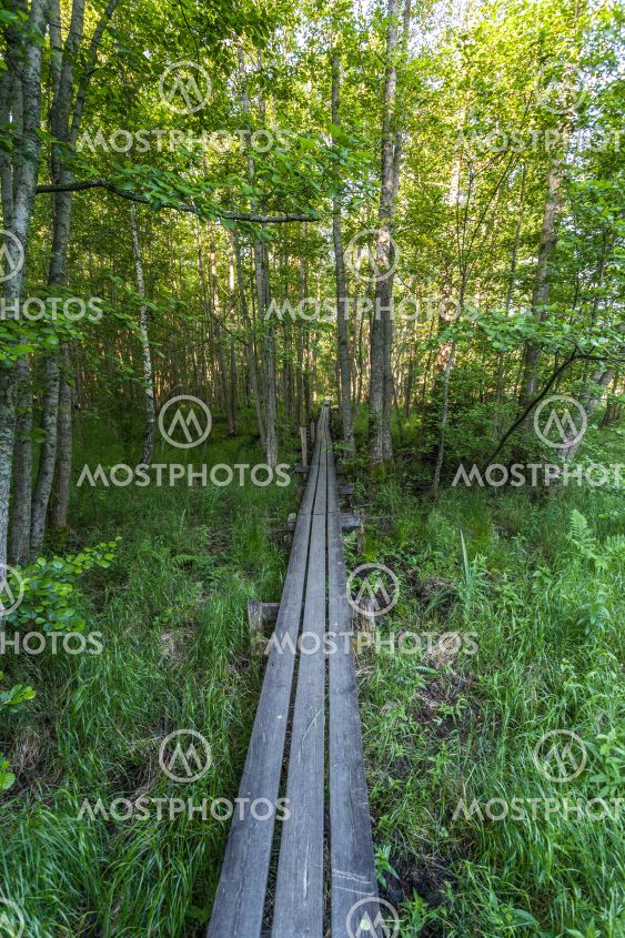 Bornsjöns naturreservat
