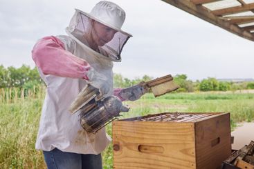 Bees, beekeeper and smoke at hive for farming, honey...