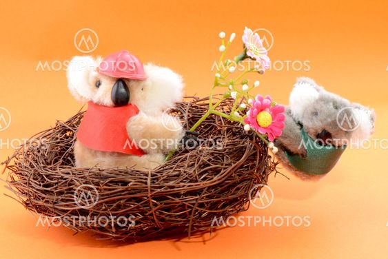 Nest with a Teddy Bear