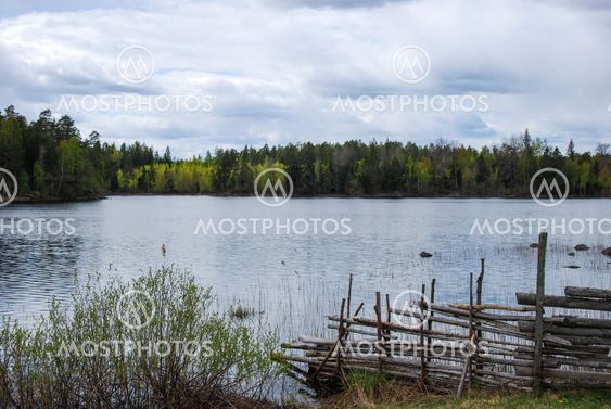 By the lake at springtime
