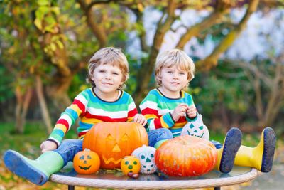 Two little friends boys making jack-o-lantern for...