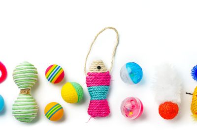 Cat toys isolated on white background studio shot