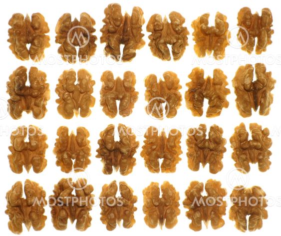 Walnut kernels.