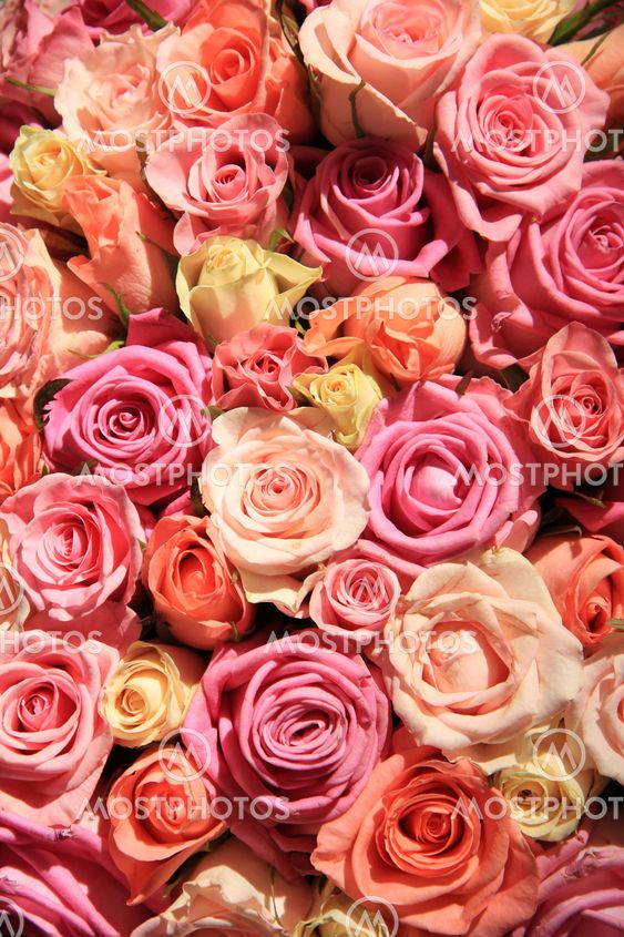 Roses in different shades of pink, wedding arrangement