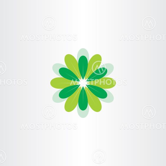 fresh flower with green leaves