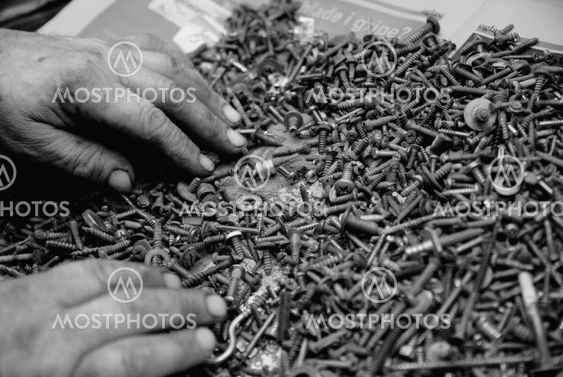 Set of screw and bolt heads