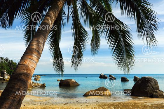 Tropical beach, Thailand