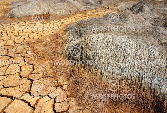 drought land, climate change, hot summer
