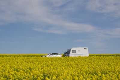 Bil med husvagn i rapsfält