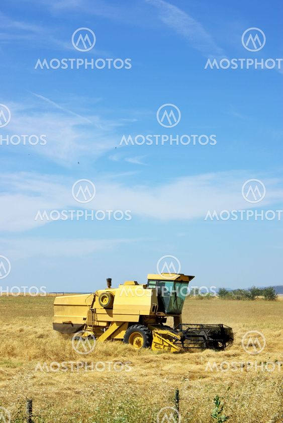 Combine harvester working a wheat field.