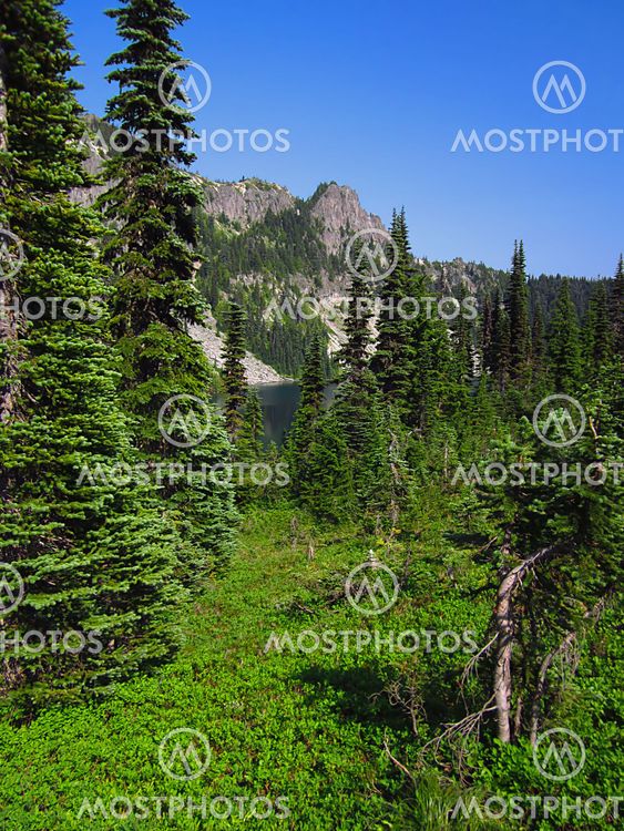 Mountain Landscape