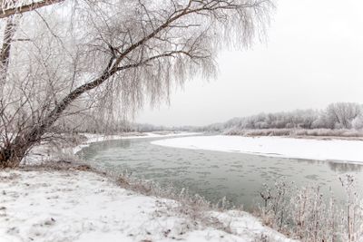 Winter landscape of a white snowy shore of a river....