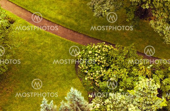 Garden path in a garden