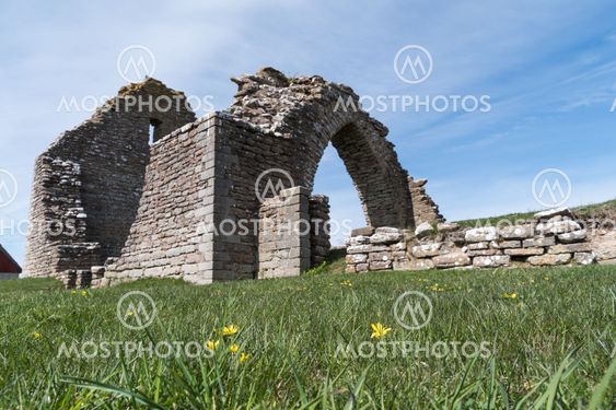 Spring flowers by a ruin