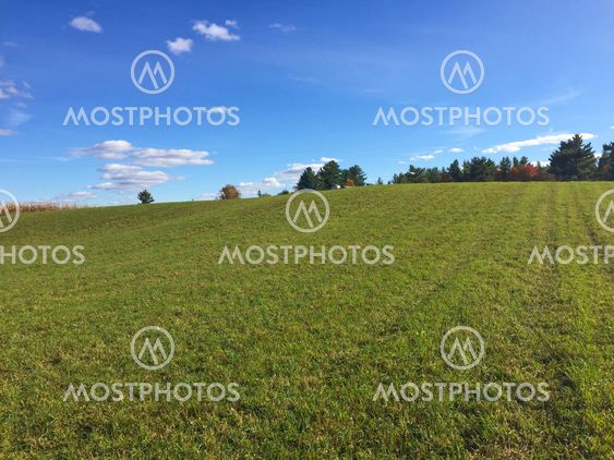 Rolling Fields