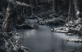 River in the Snowy Winter Forest