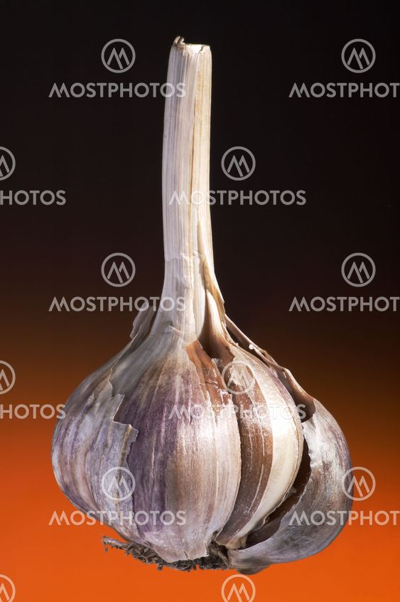 ripe garlic