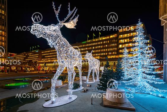 Closeup of christmas decorations in forms of a Moose in...