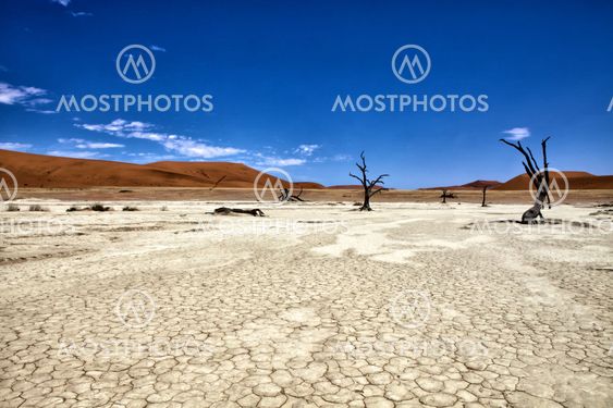 few dead trees in deadvlei namib naukluft park namibia africa