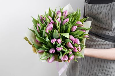 Woman hand holding soft lilac tulips flowers on white...