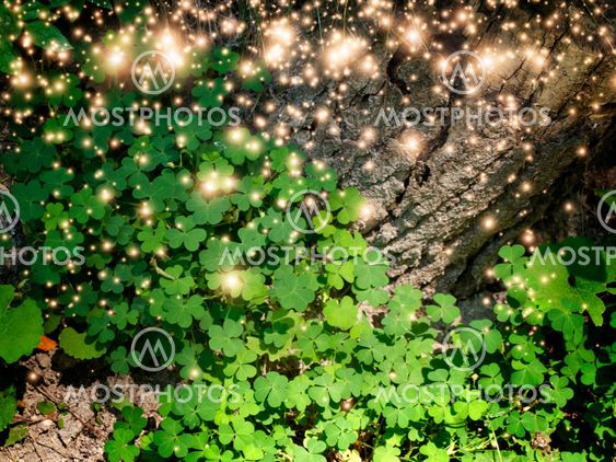 Shamrock Leaves