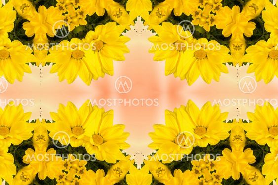 flowers , visual effect of a mirror,abstract color...