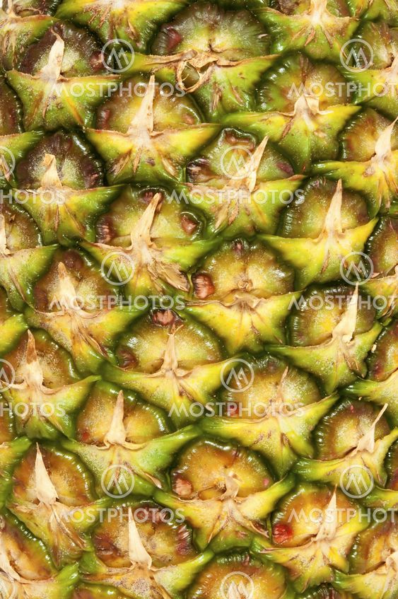 Ananas yksityiskohtaisesti