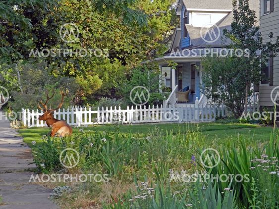 Lawn ornament, bull elk