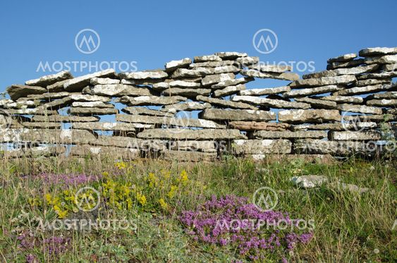 Summer flowers by an old stone wall
