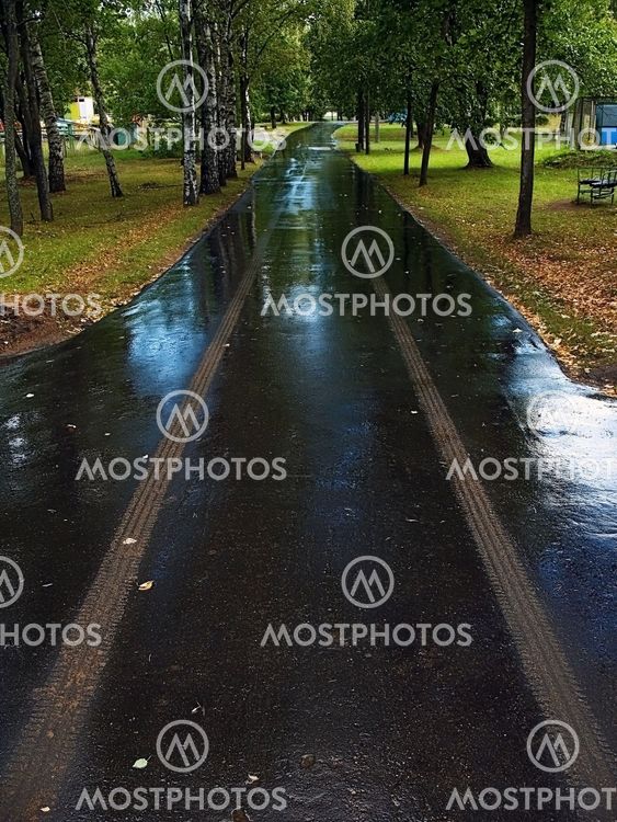 wet traces