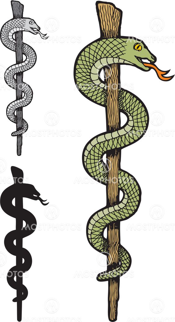 One snake caduceus