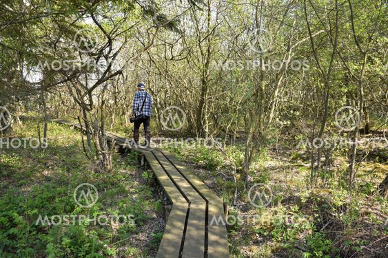 Naturfotograf på en spång i ett naturreservat