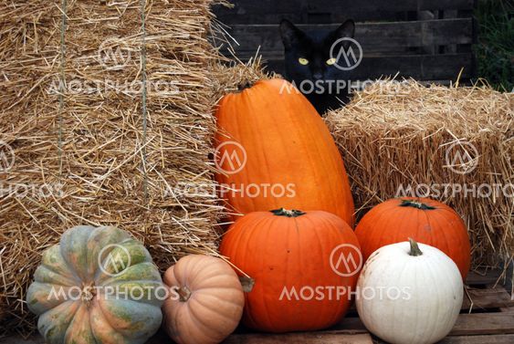 Autumn Spook