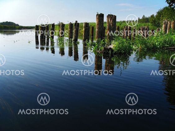 piles of the old bridge