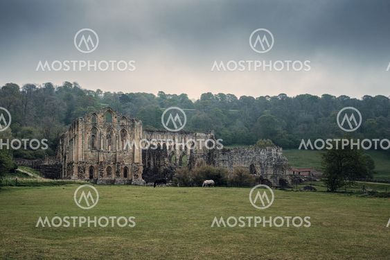 11th Century Rievaulx Abbey in North York Moors