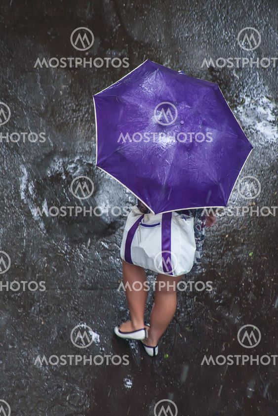 woman under violet umbrella
