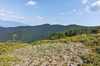 Summer landscape of Belasitsa Mountain, Bulgaria