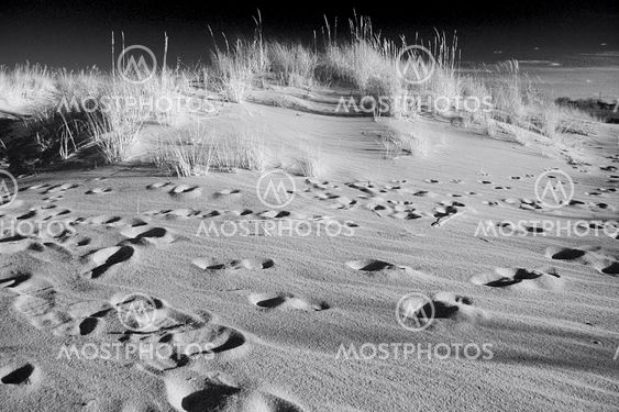 Human footprint on the deserted beach, in B&W.