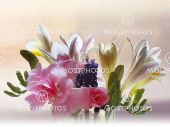 All flowers of Spring